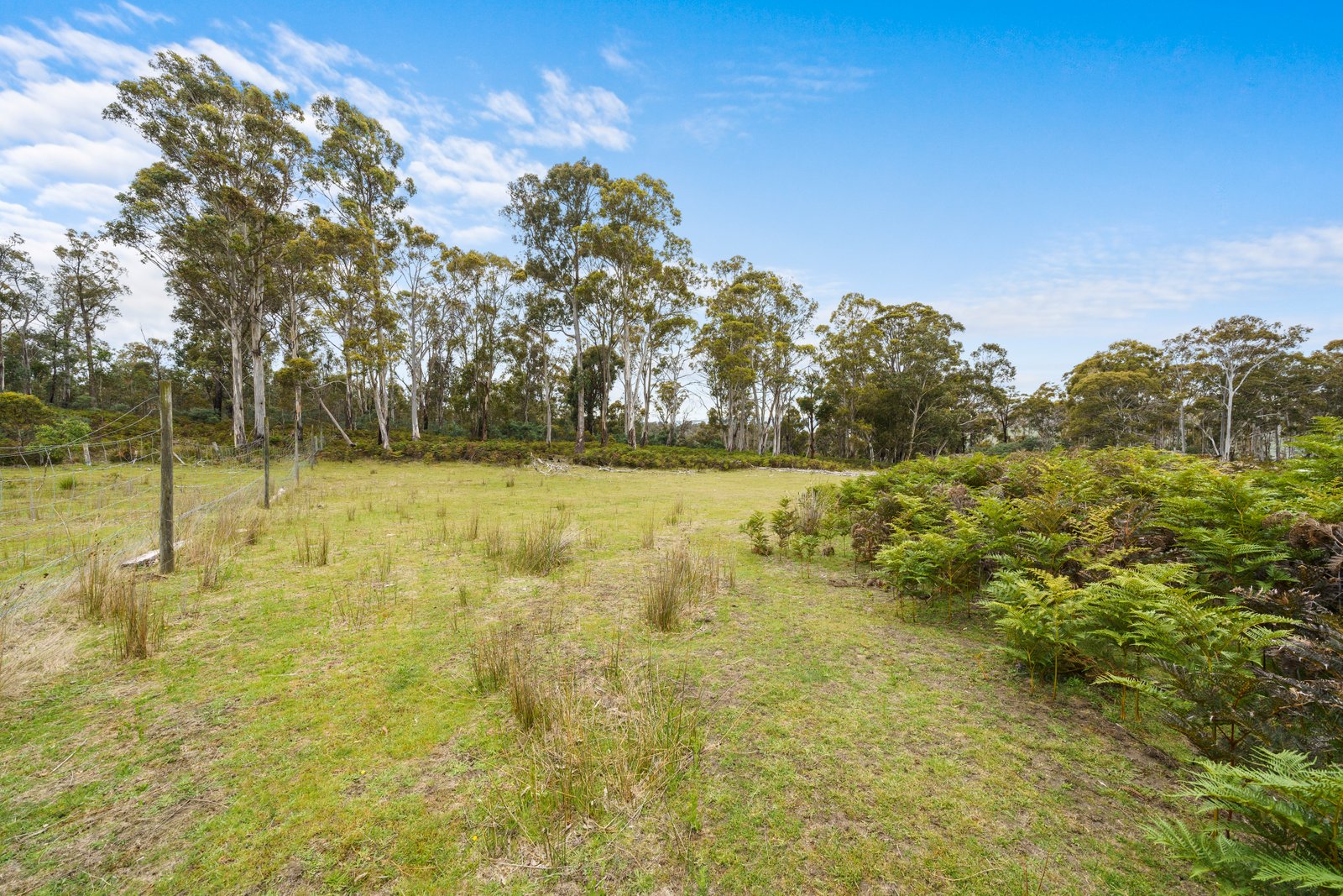 180 Pearces Road STRICKLAND 10