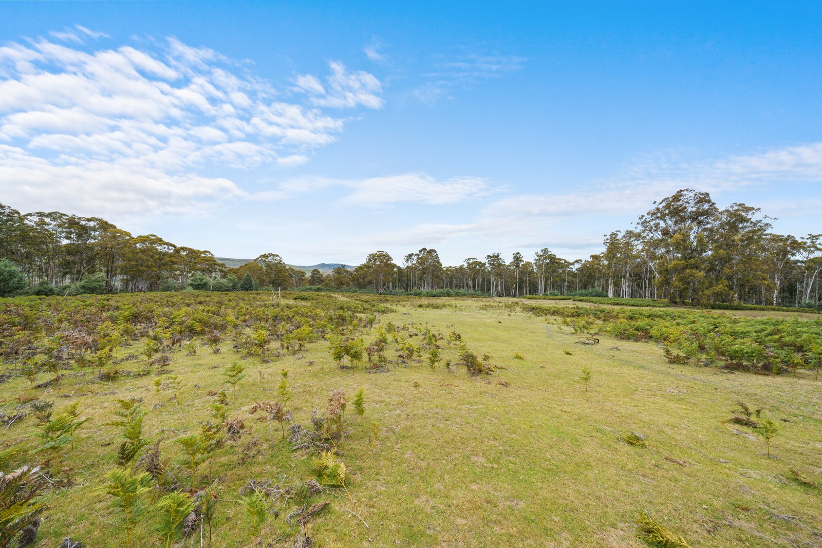 180 Pearces Road STRICKLAND 14