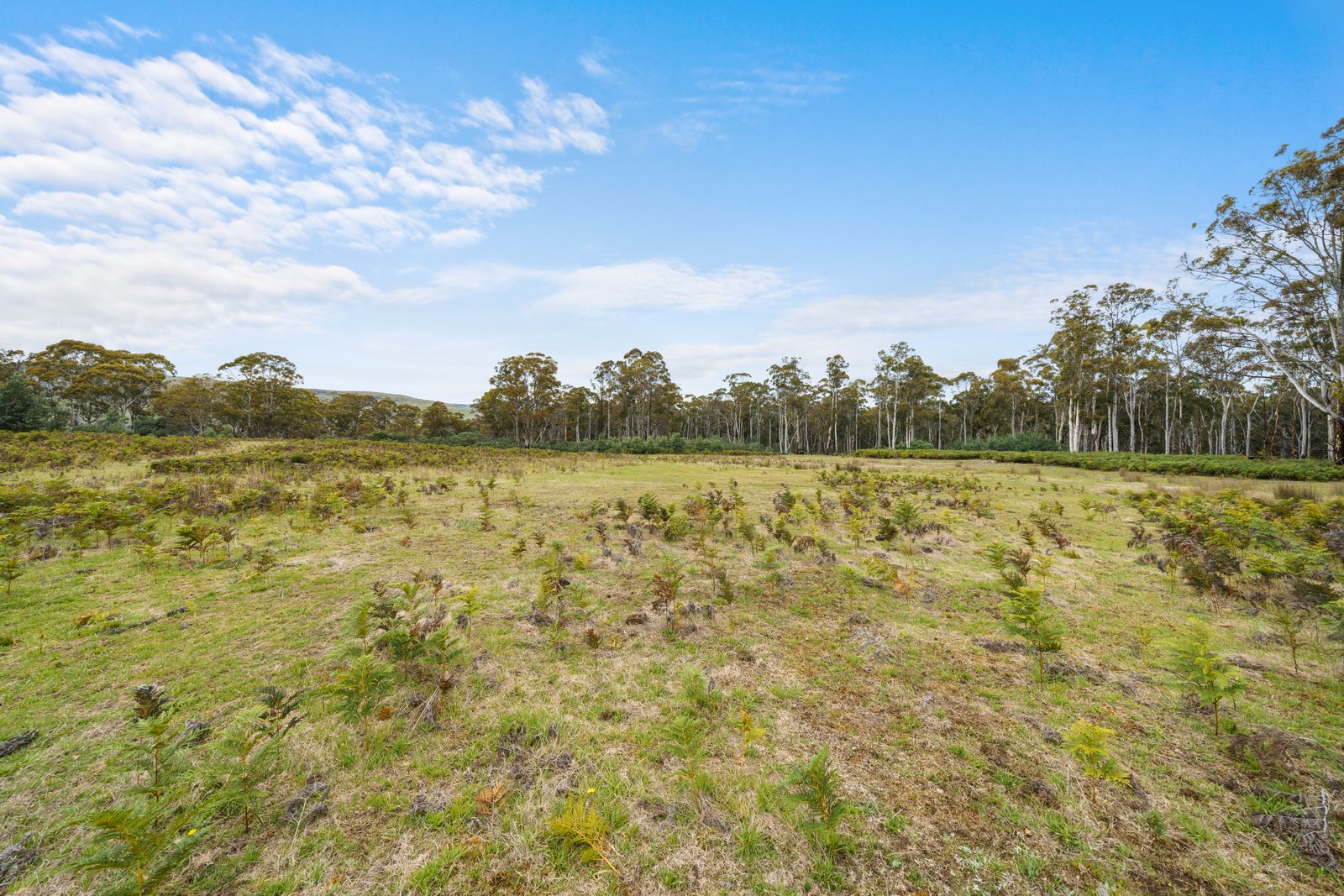 180 Pearces Road STRICKLAND 16