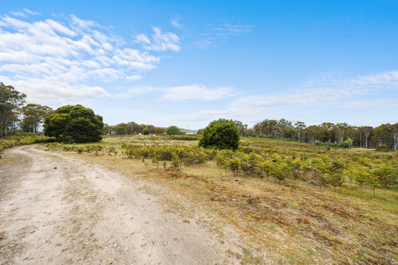 180 Pearces Road STRICKLAND 23