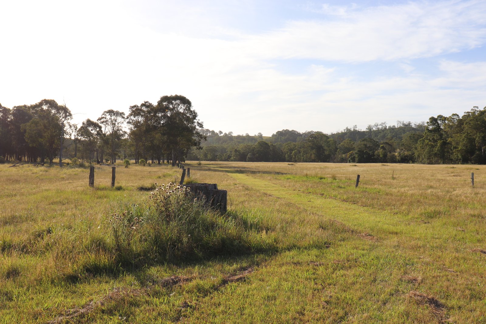 180 Wallarobba Road BROOKFIELD 1