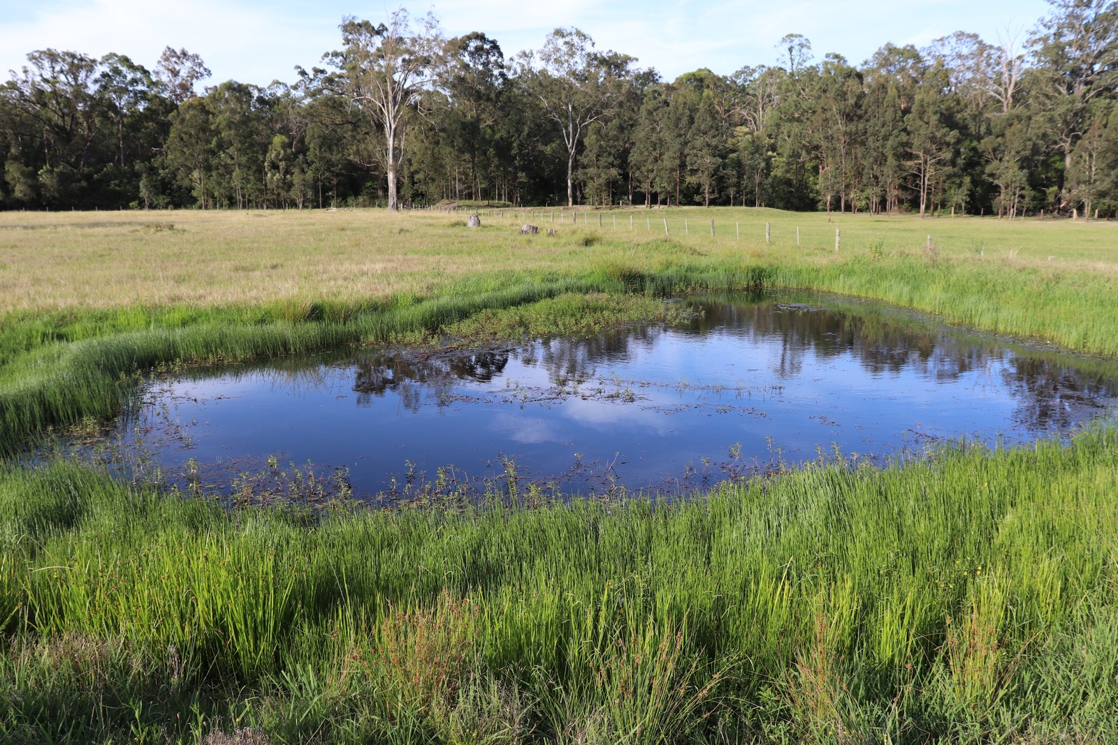 180 Wallarobba Road BROOKFIELD 4
