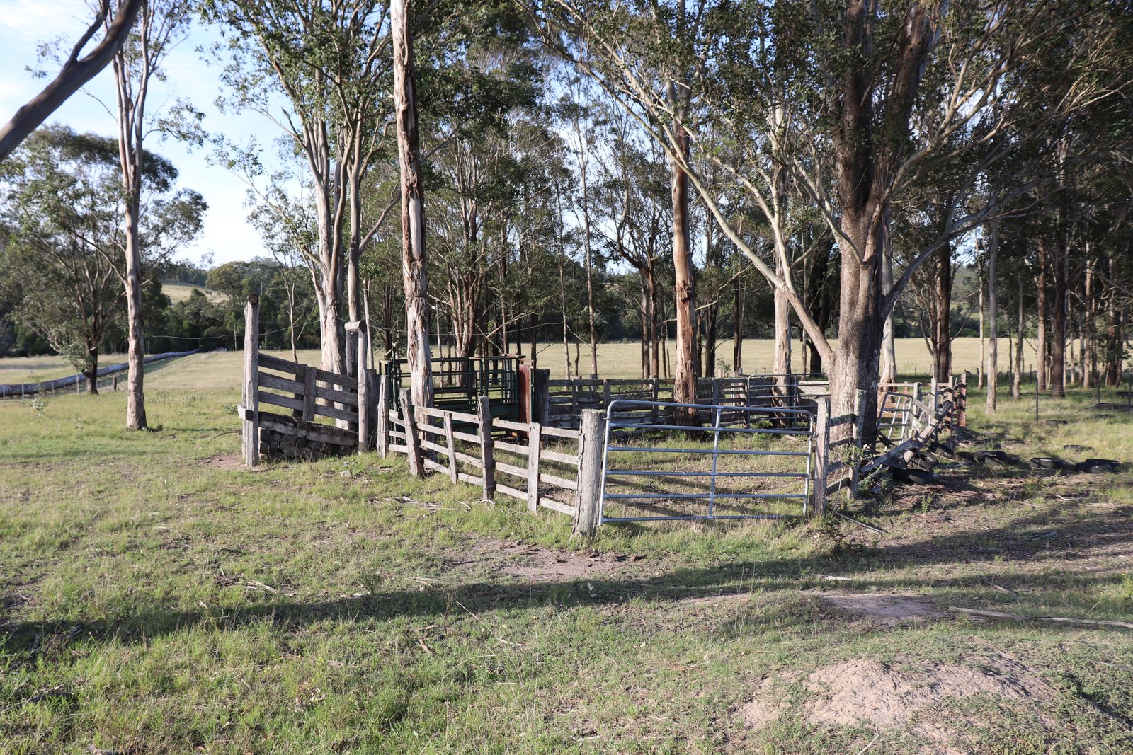 180 Wallarobba Road BROOKFIELD 11