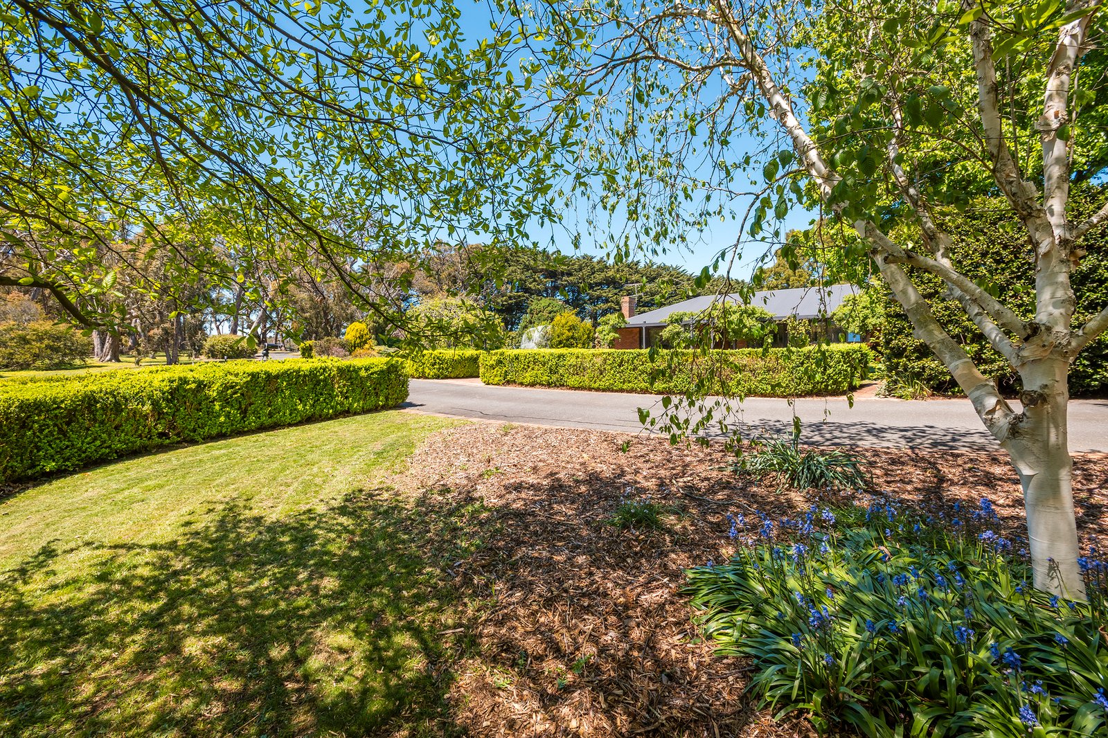 Real Estate and Property in 181 Black Forest Drive, Macedon, VIC
