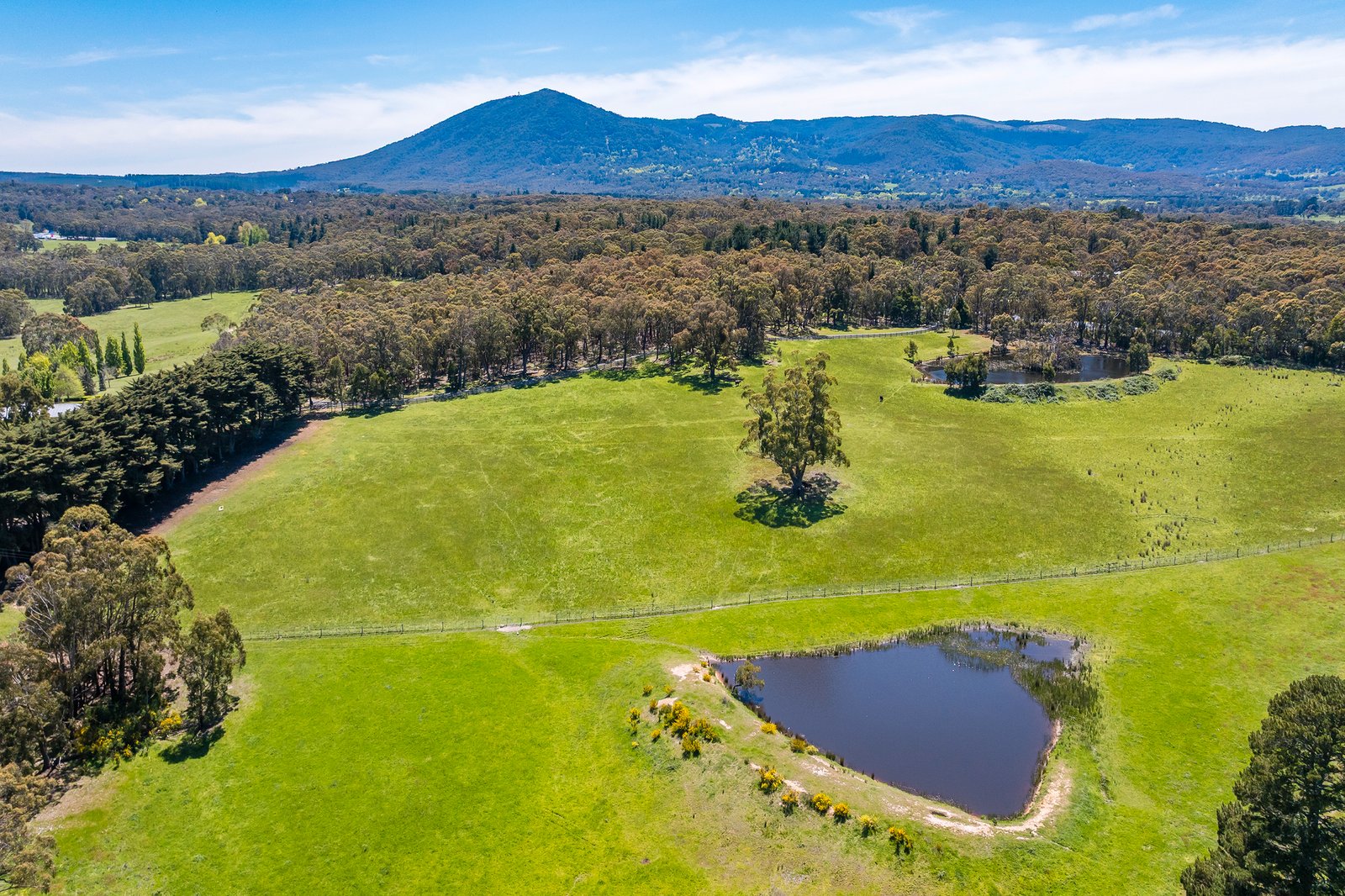 Real Estate and Property in 181 Black Forest Drive, Macedon, VIC