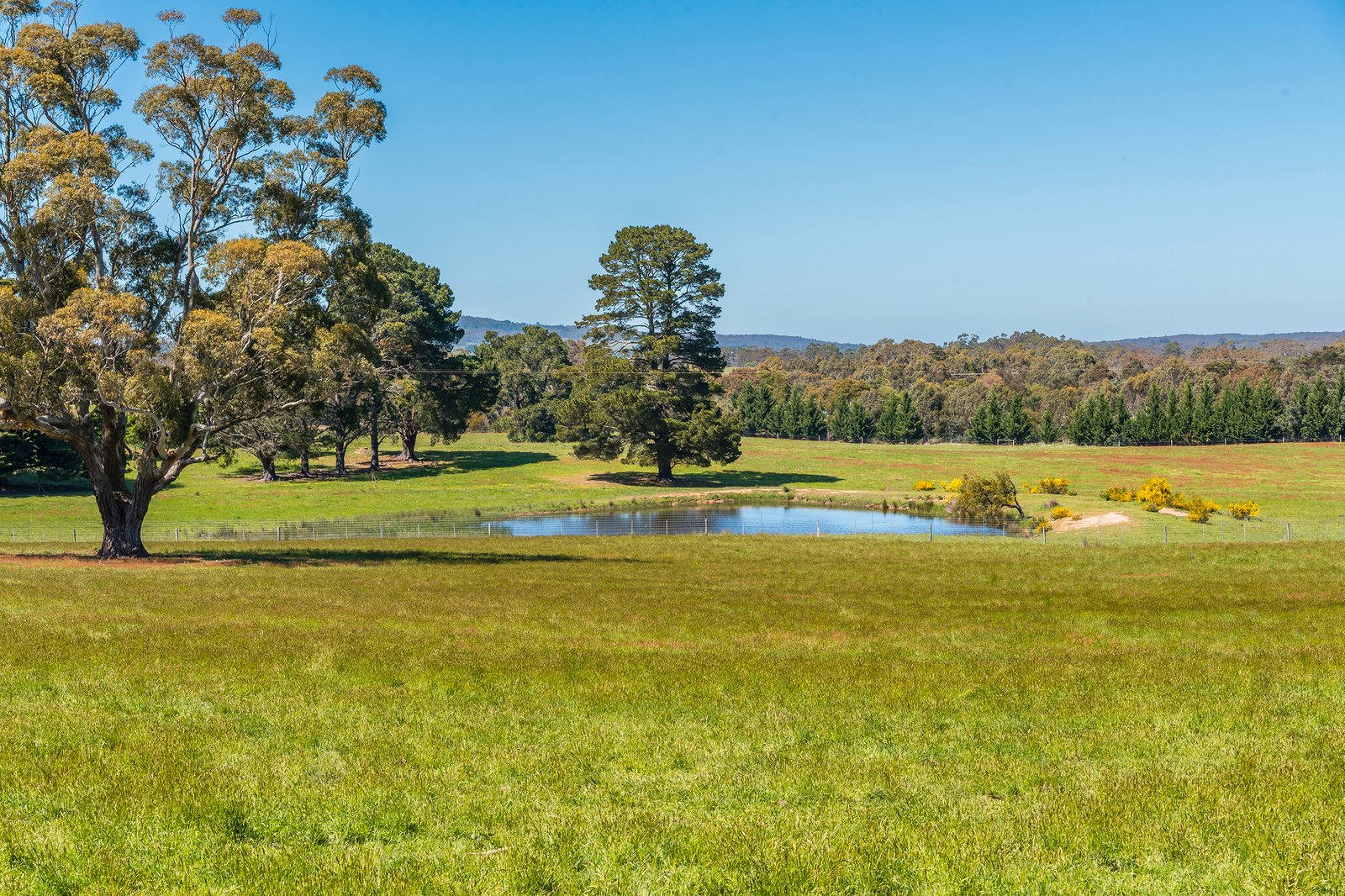 Real Estate and Property in 181 Black Forest Drive, Macedon, VIC