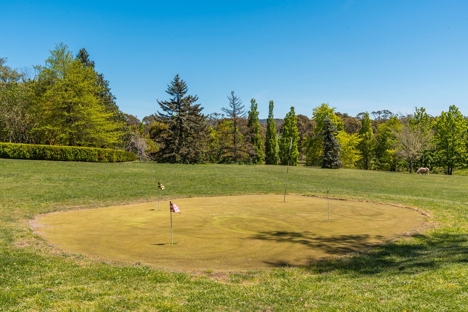 Real Estate and Property in 181 Black Forest Drive, Macedon, VIC