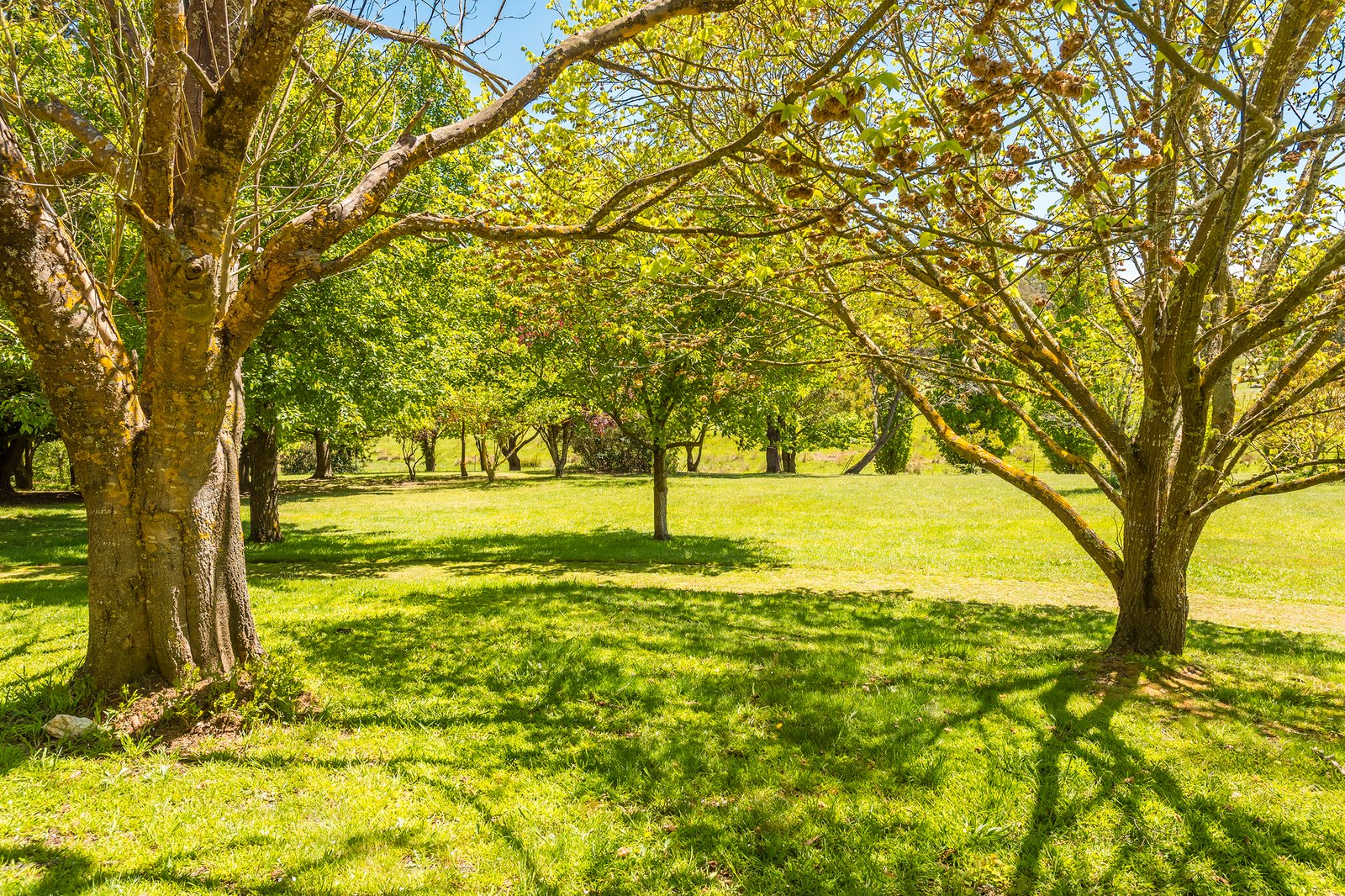 Real Estate and Property in 181 Black Forest Drive, Macedon, VIC