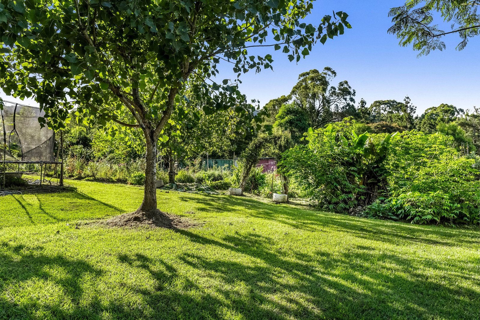 181 Lindsay Road LARNOOK 20