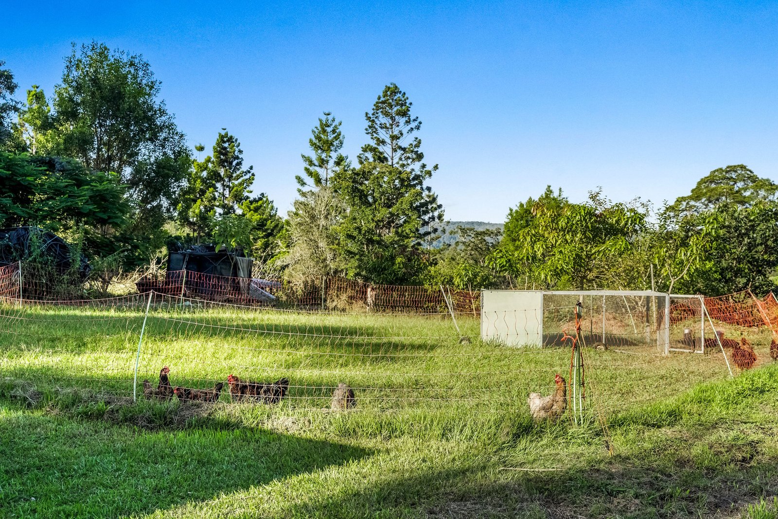 181 Lindsay Road LARNOOK 23