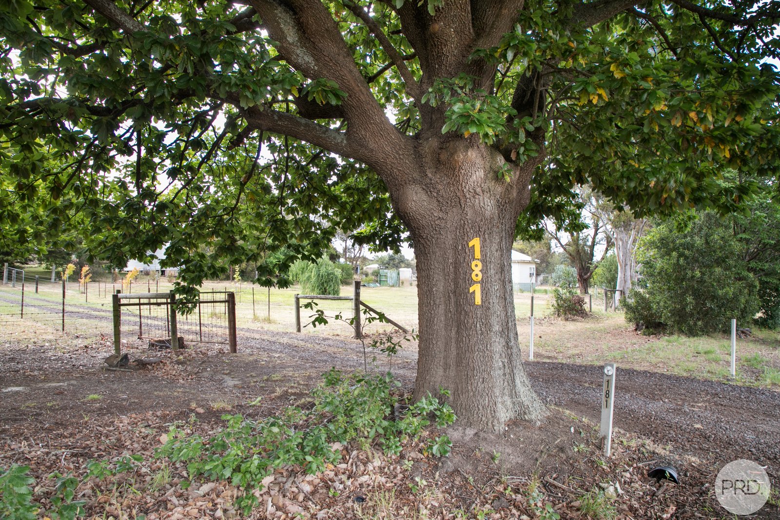 181 Pitfield-Scarsdale Road NEWTOWN 15