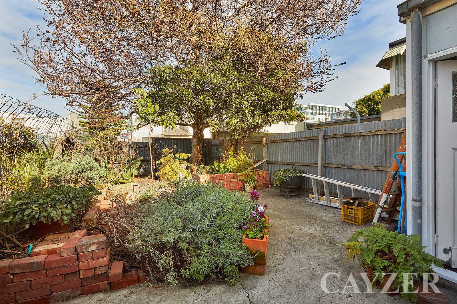 Gallery: 181 Rouse Street