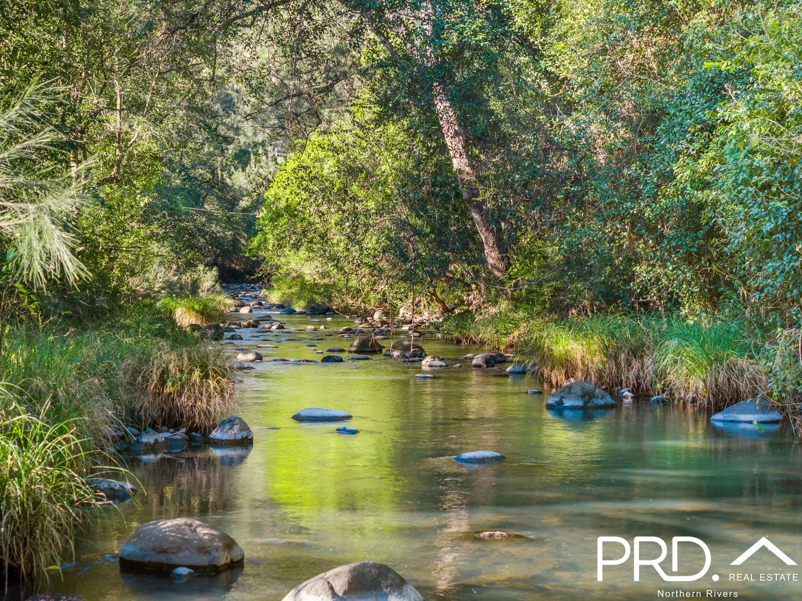 181 Warrazambil Creek Road LYNCHS CREEK 2