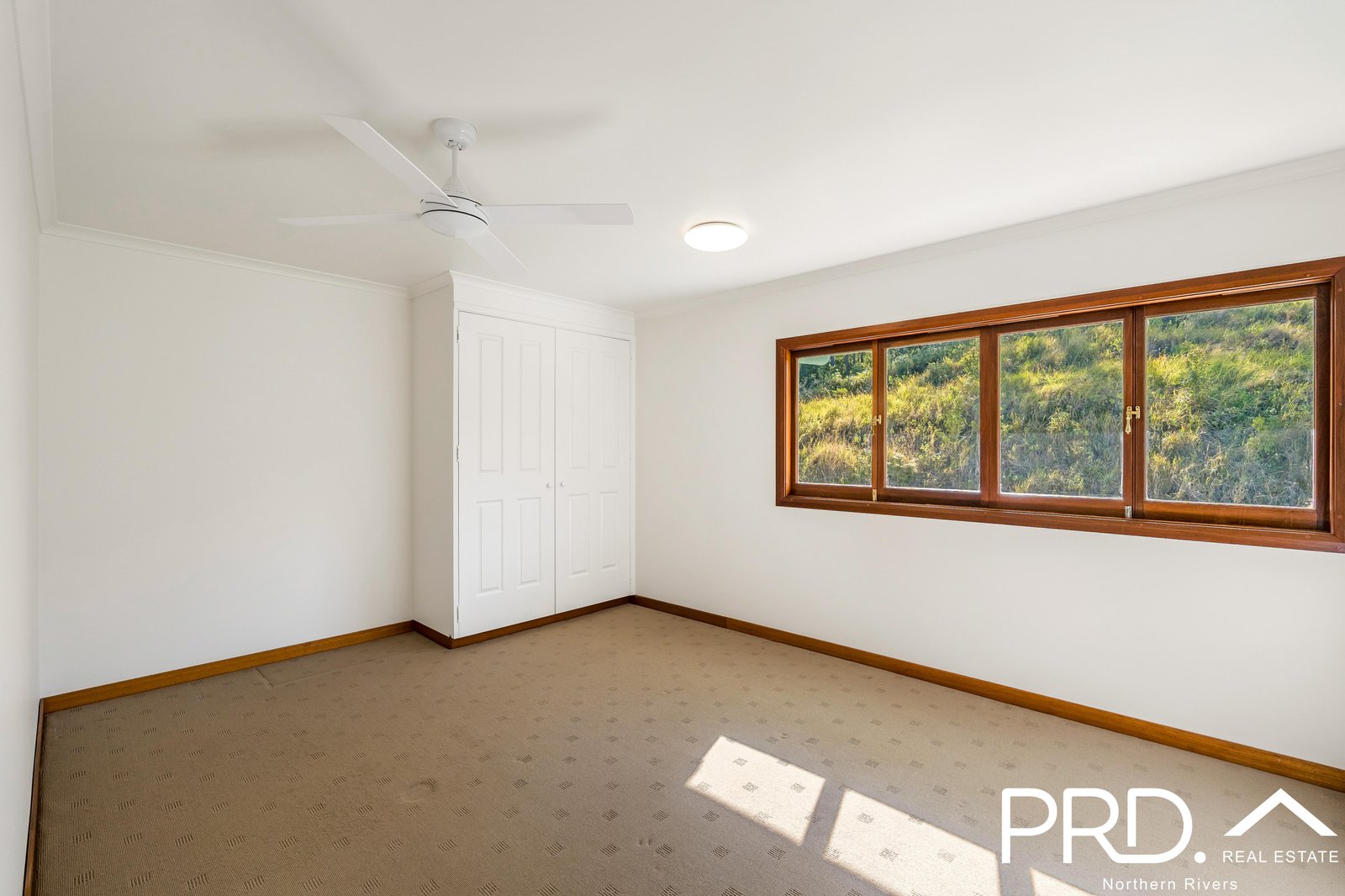 181 Warrazambil Creek Road LYNCHS CREEK 15