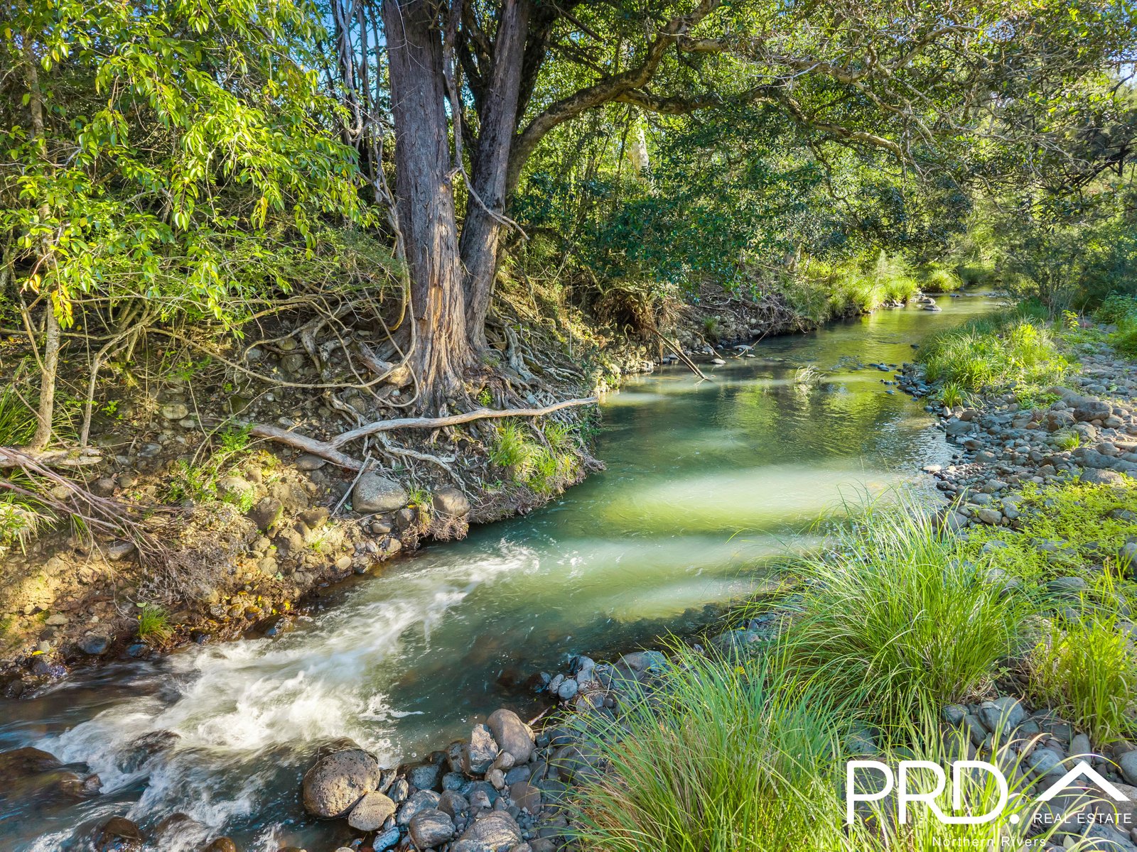 181 Warrazambil Creek Road LYNCHS CREEK 28
