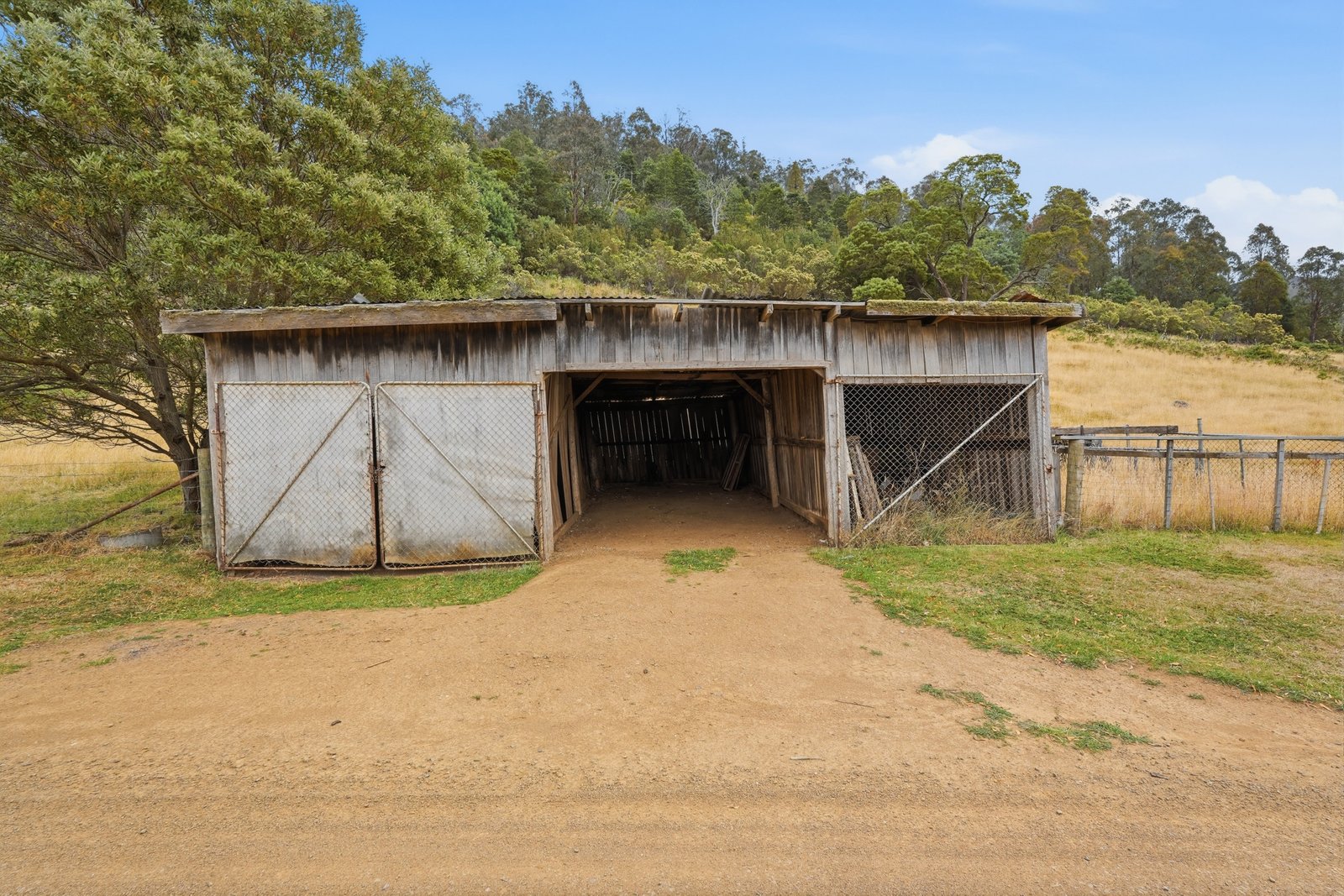 182 Braslins Road BLACK HILLS 12