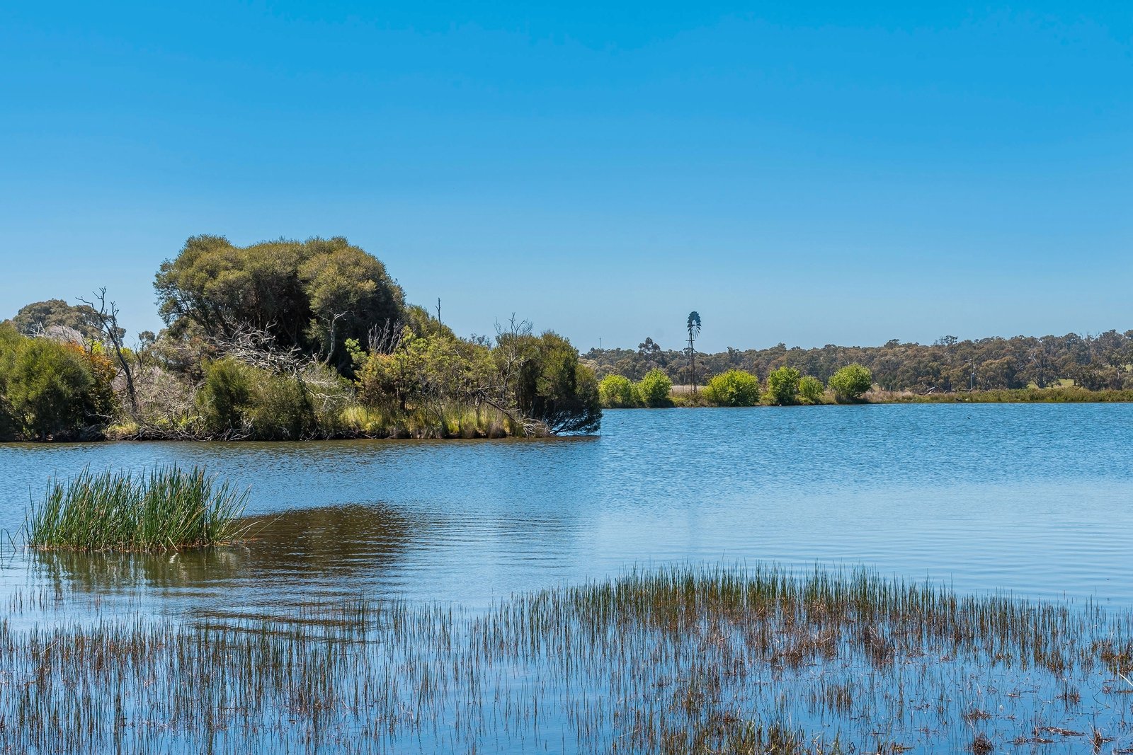 Real Estate and Property in 183 Balls Lane, Pipers Creek, VIC