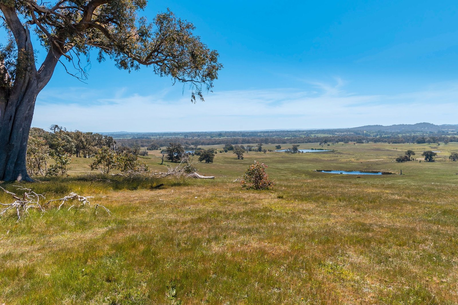 Real Estate and Property in 183 Balls Lane, Pipers Creek, VIC