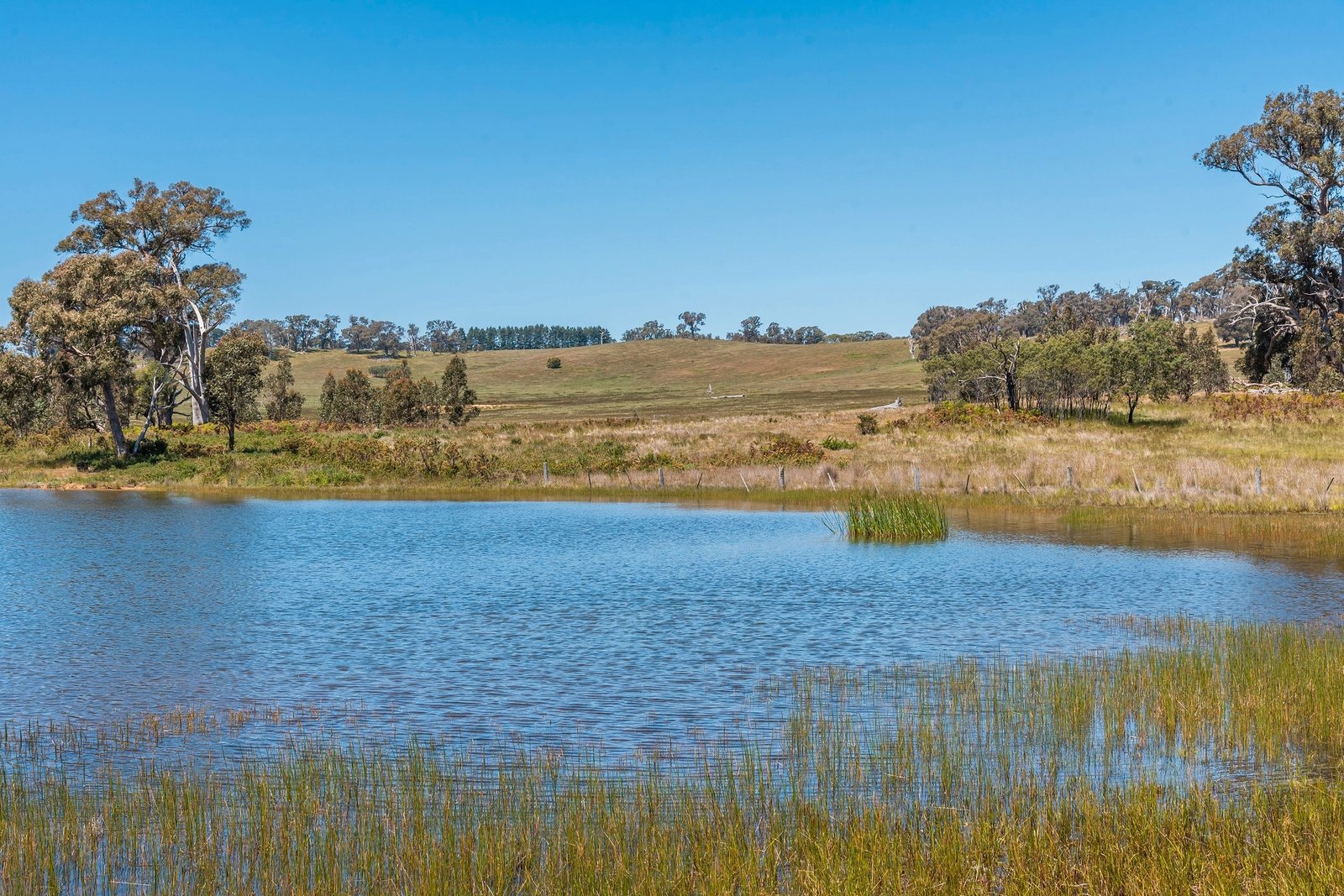 Real Estate and Property in 183 Balls Lane, Pipers Creek, VIC