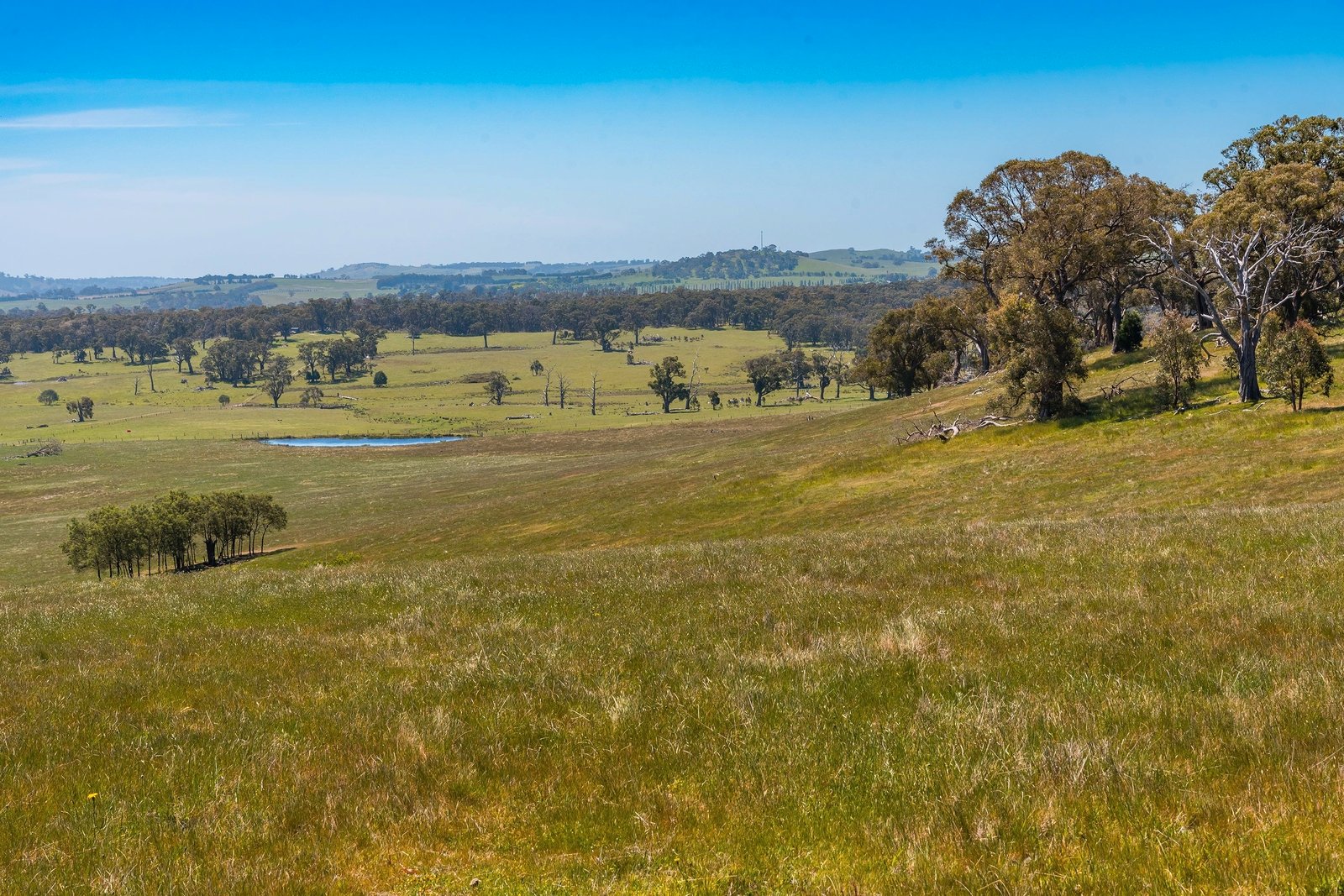 Real Estate and Property in 183 Balls Lane, Pipers Creek, VIC