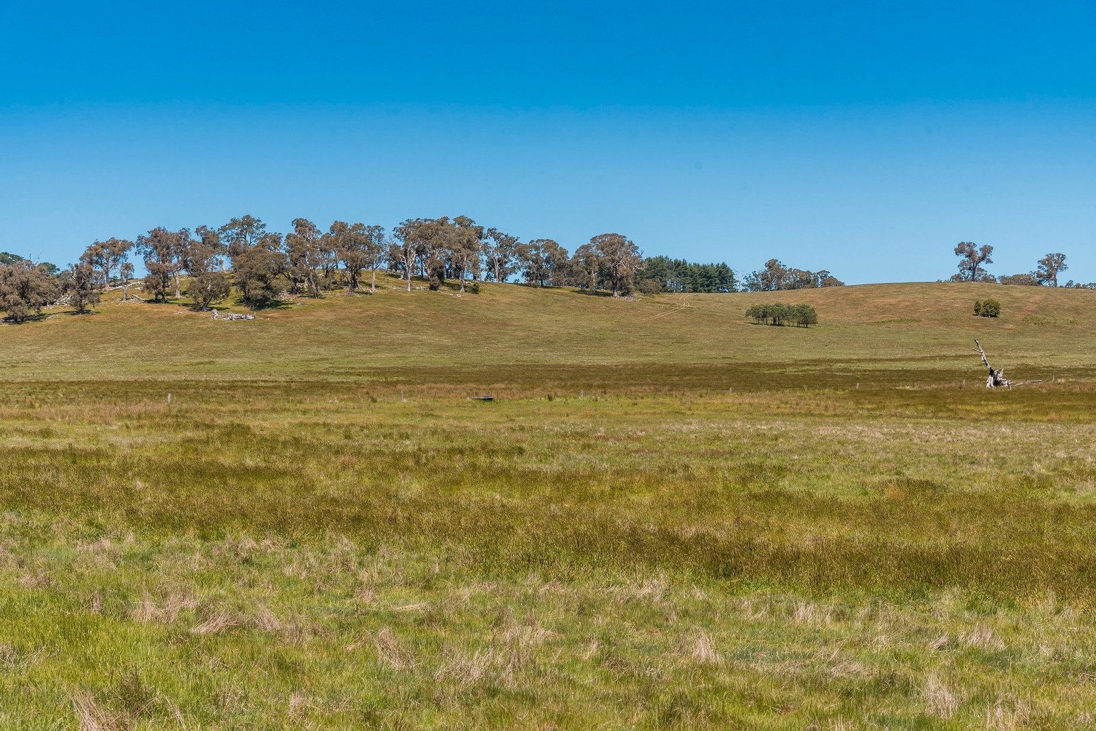 Real Estate and Property in 183 Balls Lane, Pipers Creek, VIC