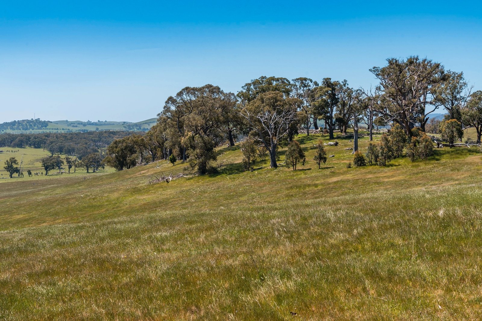 Real Estate and Property in 183 Balls Lane, Pipers Creek, VIC