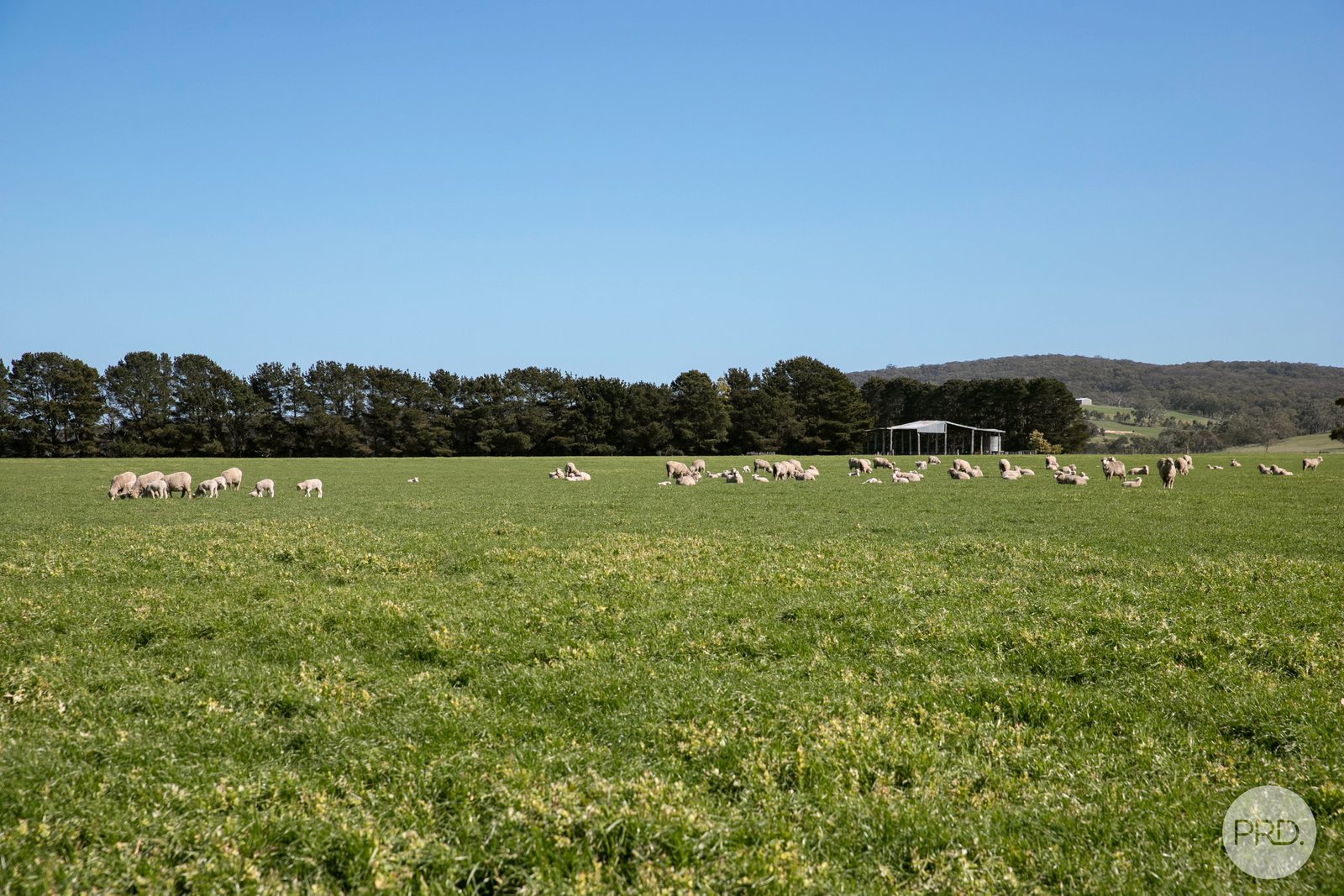 183 Condies Lanes  MOUNT EGERTON 22