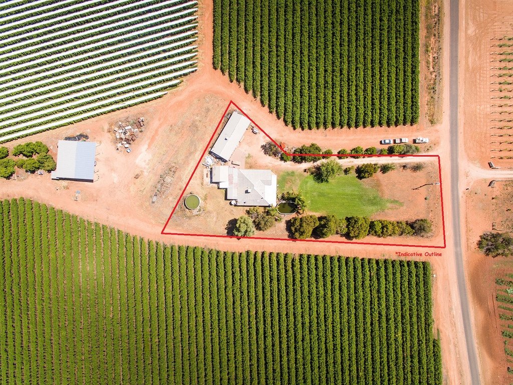 183 Mellis Street RED CLIFFS 12