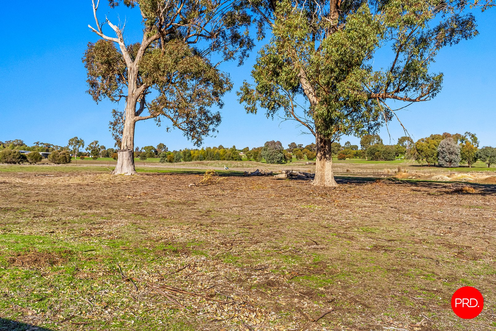 183 Sunrise Crescent LOCKWOOD SOUTH 25