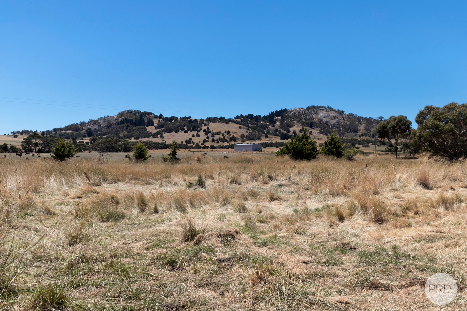 1840 Sunraysia Highway ADDINGTON 18
