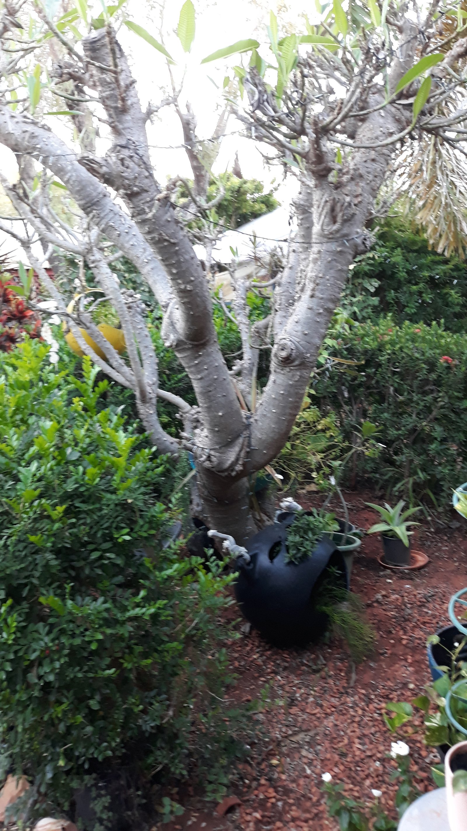 184/122 Port Drive CABLE BEACH 10