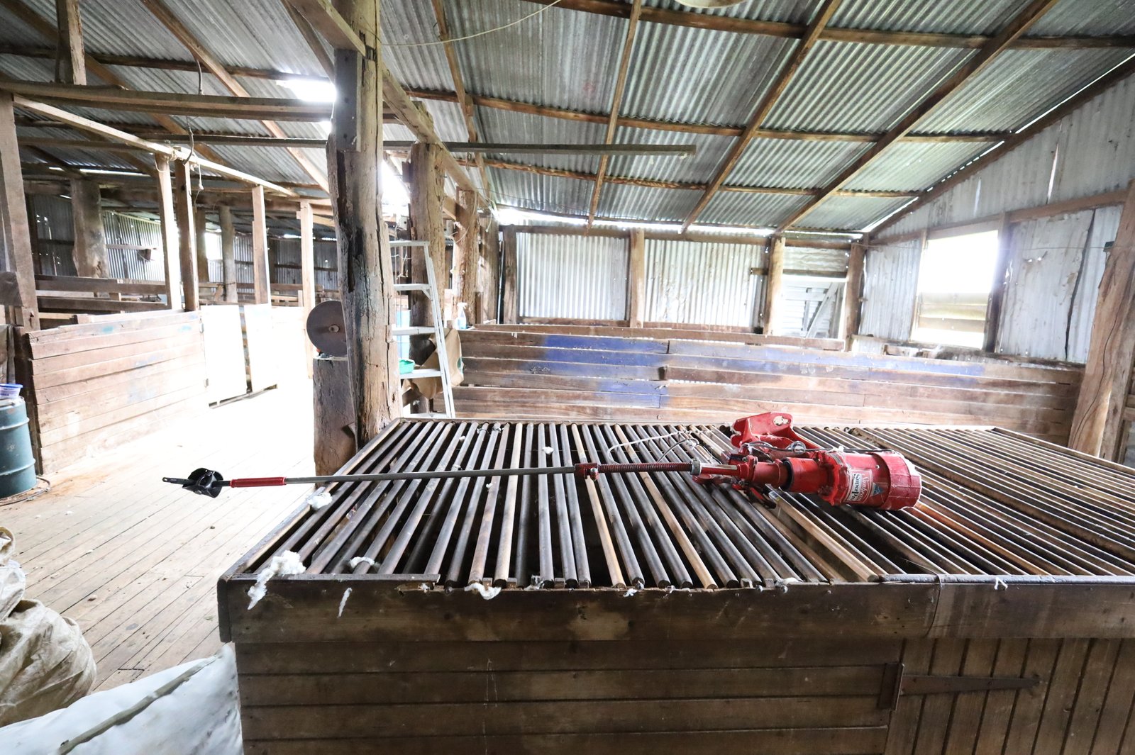 1844 Icely Road LEWIS PONDS 9