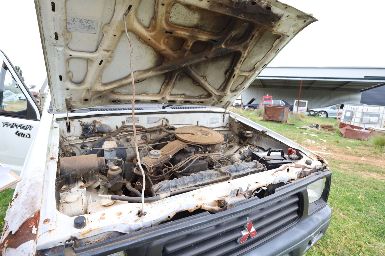 1844 Icely Road LEWIS PONDS 15