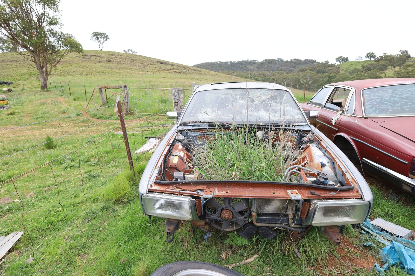 1844 Icely Road LEWIS PONDS 29