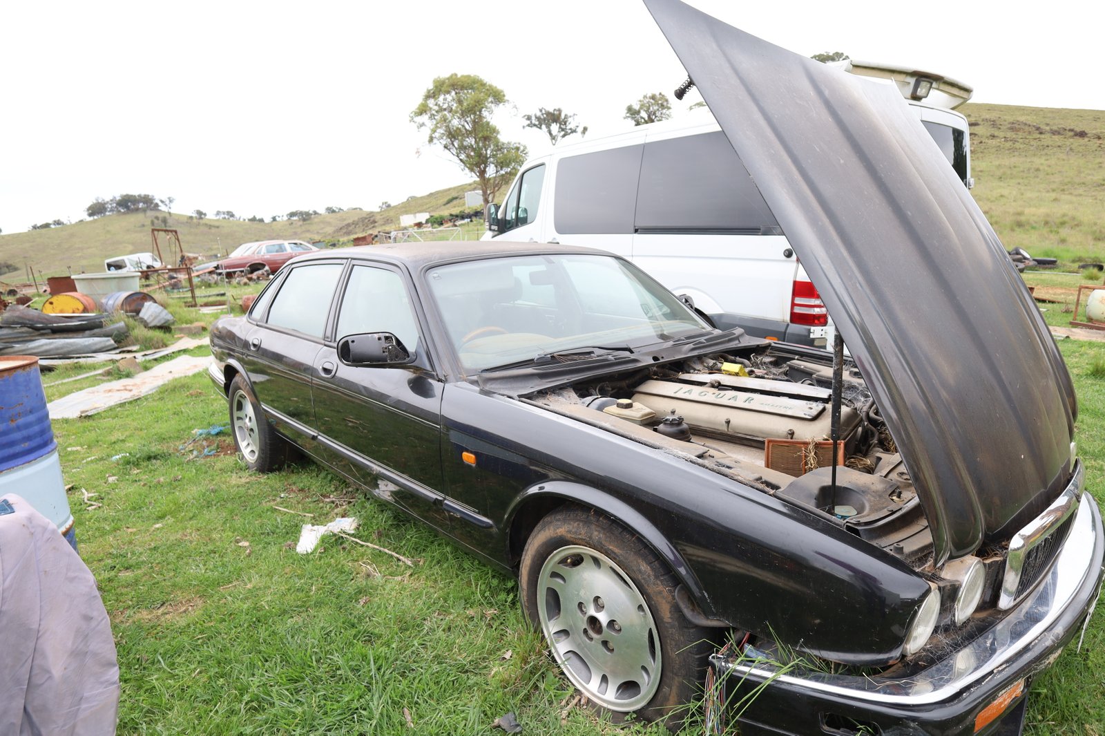 1844 Icely Road LEWIS PONDS 30