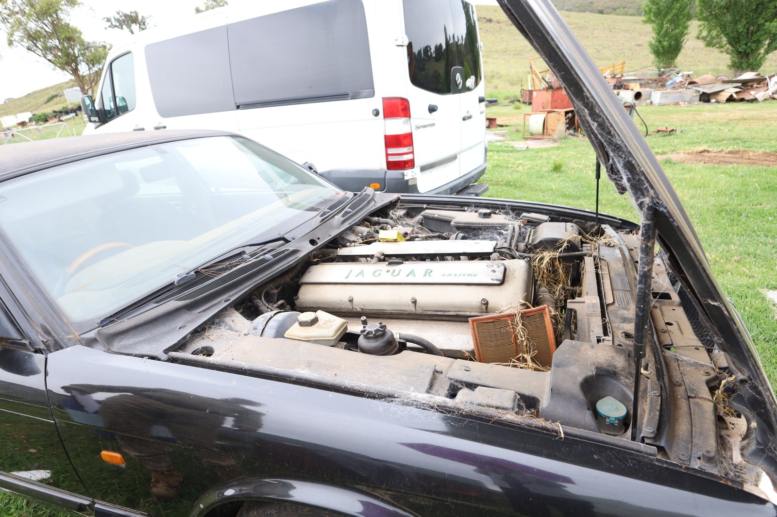 1844 Icely Road LEWIS PONDS 31