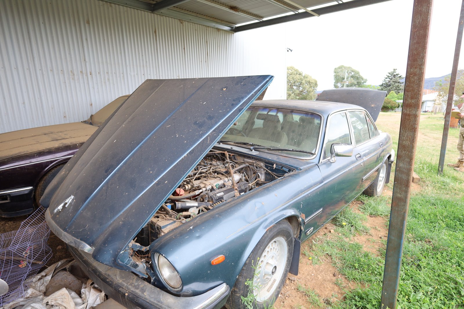 1844 Icely Road LEWIS PONDS 33