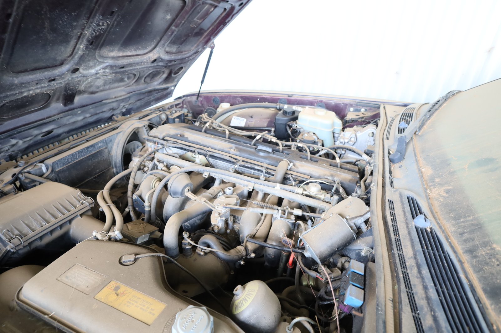 1844 Icely Road LEWIS PONDS 34