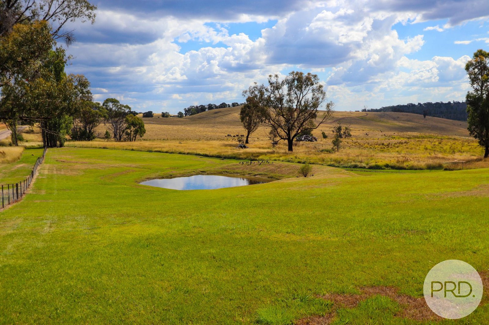 1844 Tooma Road TUMBARUMBA 13