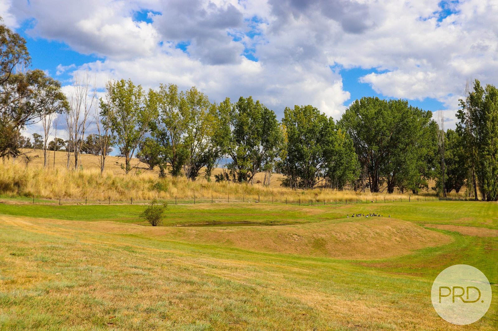 1844 Tooma Road TUMBARUMBA 14