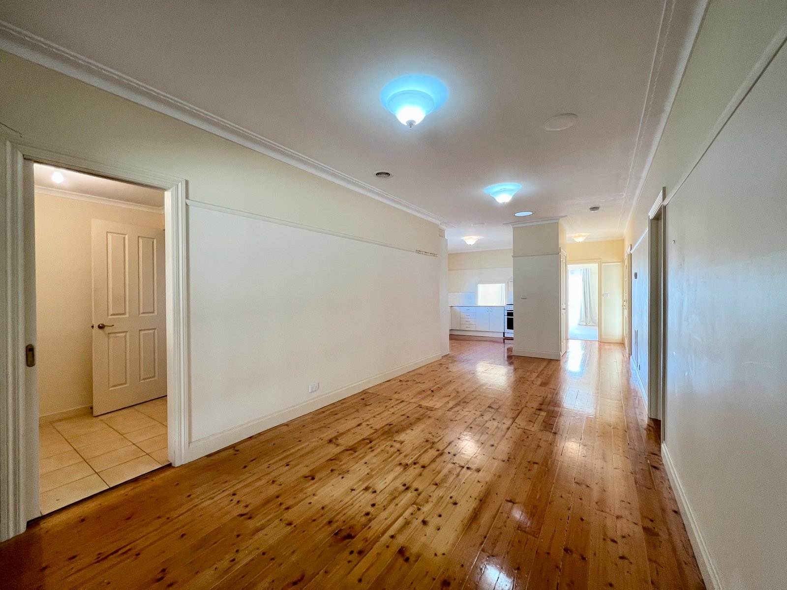 Gallery: 185 Autumn Street