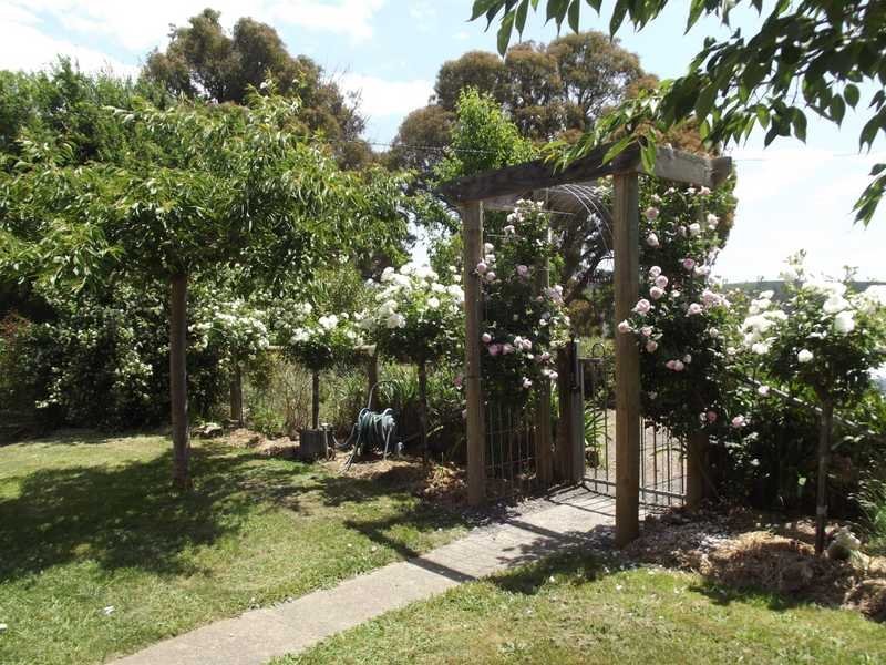 186 Batlow Road TUMBARUMBA 10