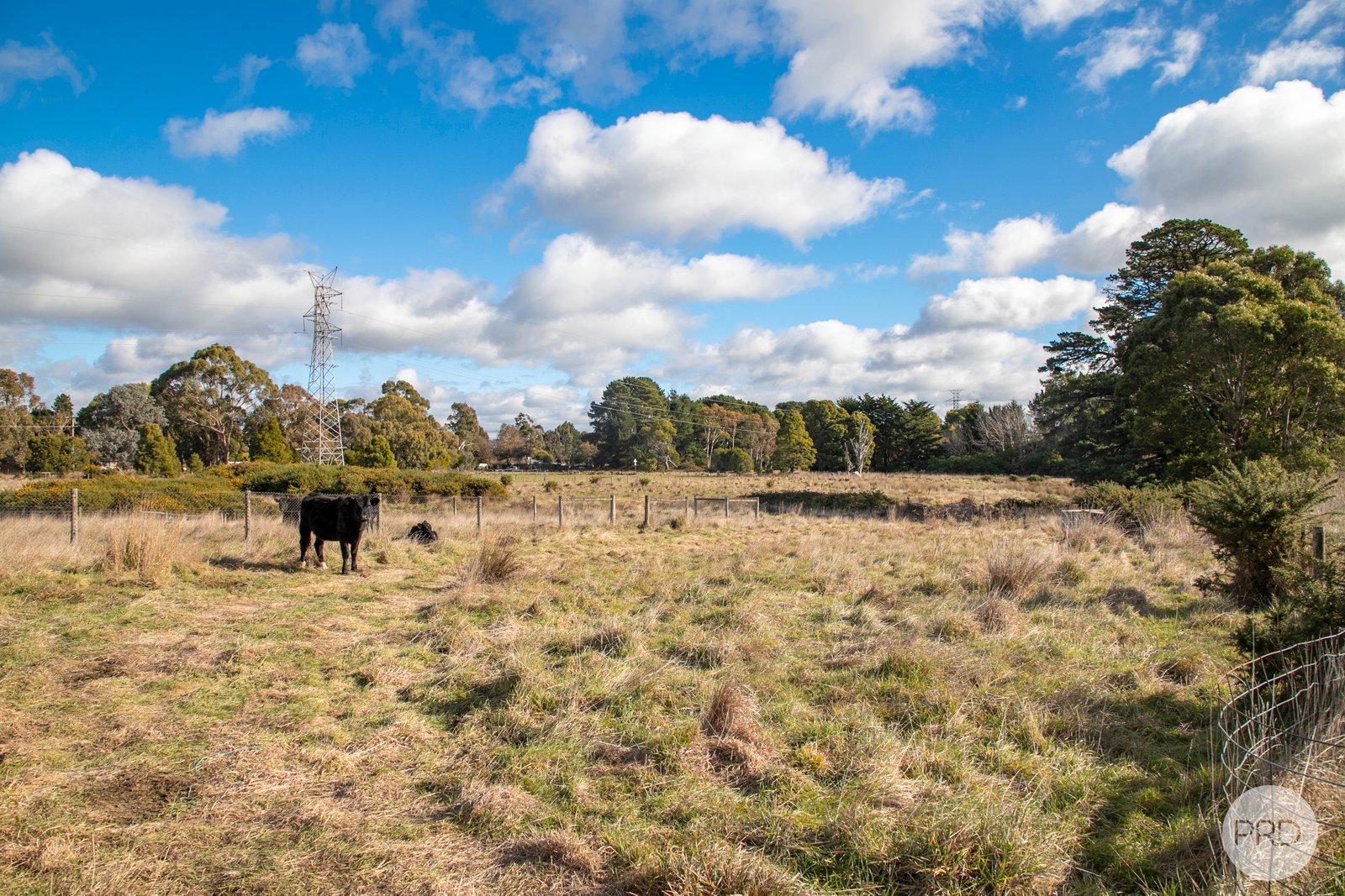 186 Coulsons Road WARRENHEIP 4