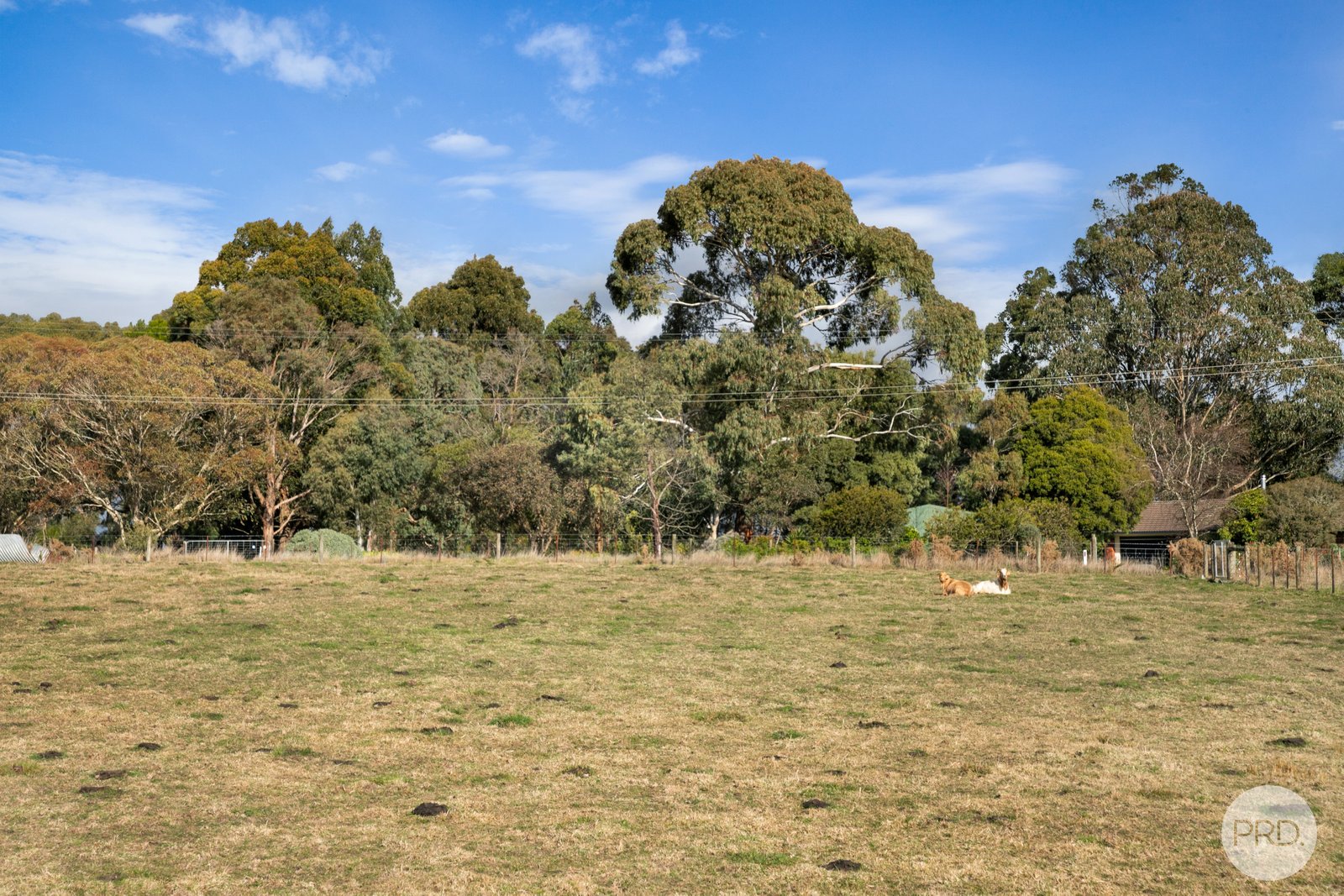 186 Coulsons Road WARRENHEIP 5