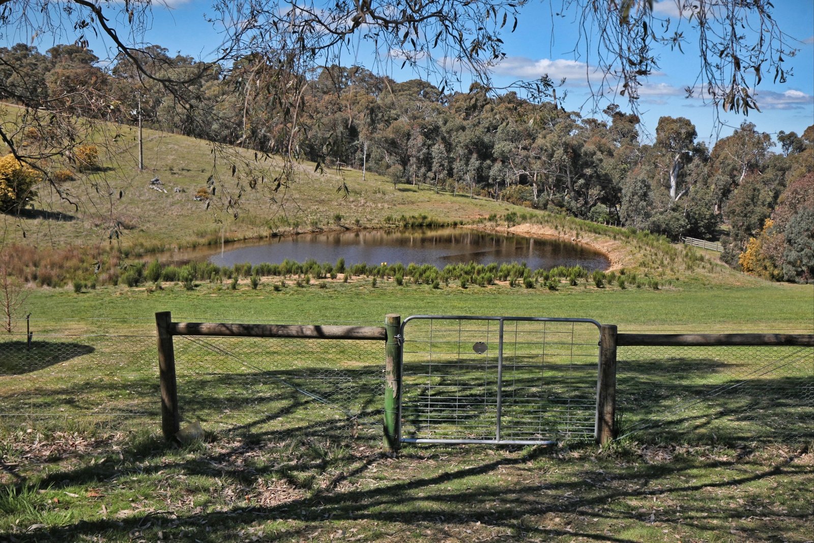 Real Estate and Property in 1873 Calder Highway, Taradale, VIC