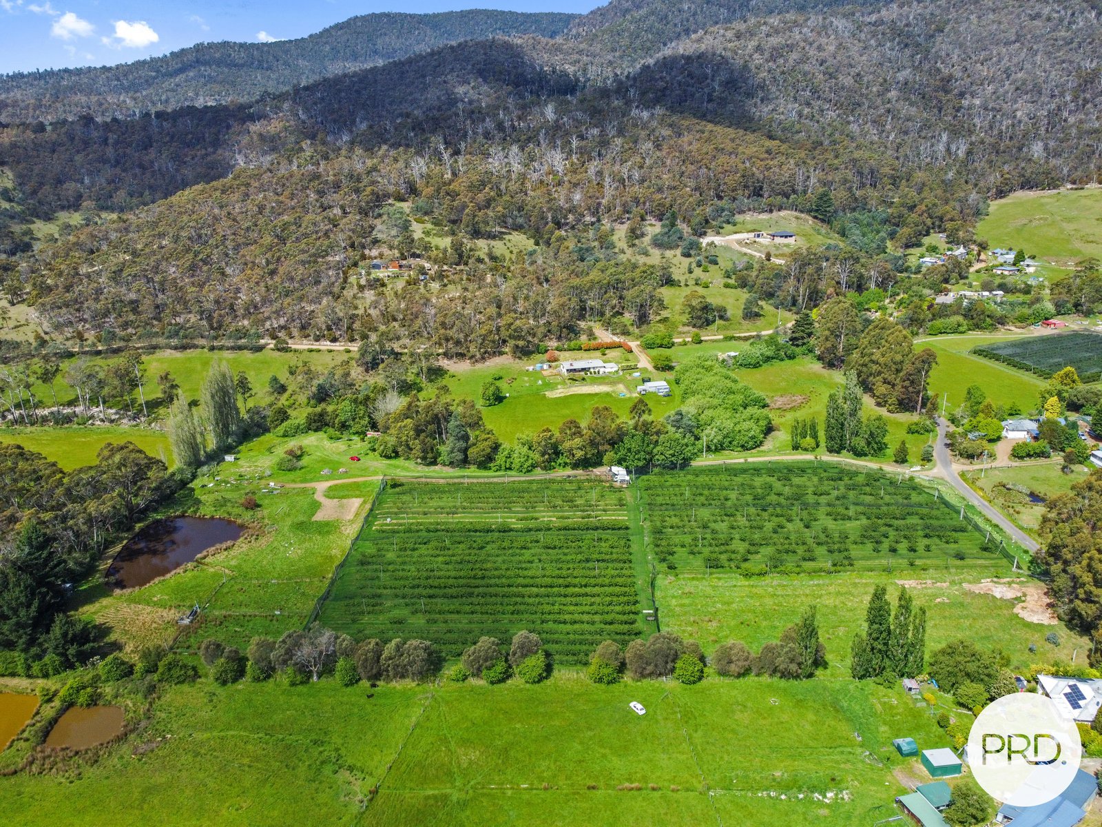 188 Hydehurst Road LACHLAN 2