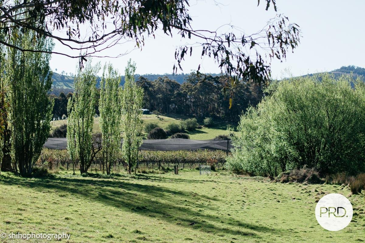 188 Hydehurst Road LACHLAN 3