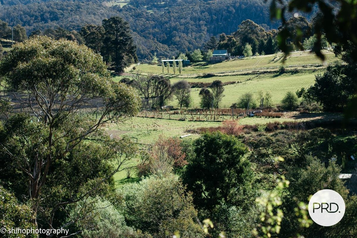 188 Hydehurst Road LACHLAN 4