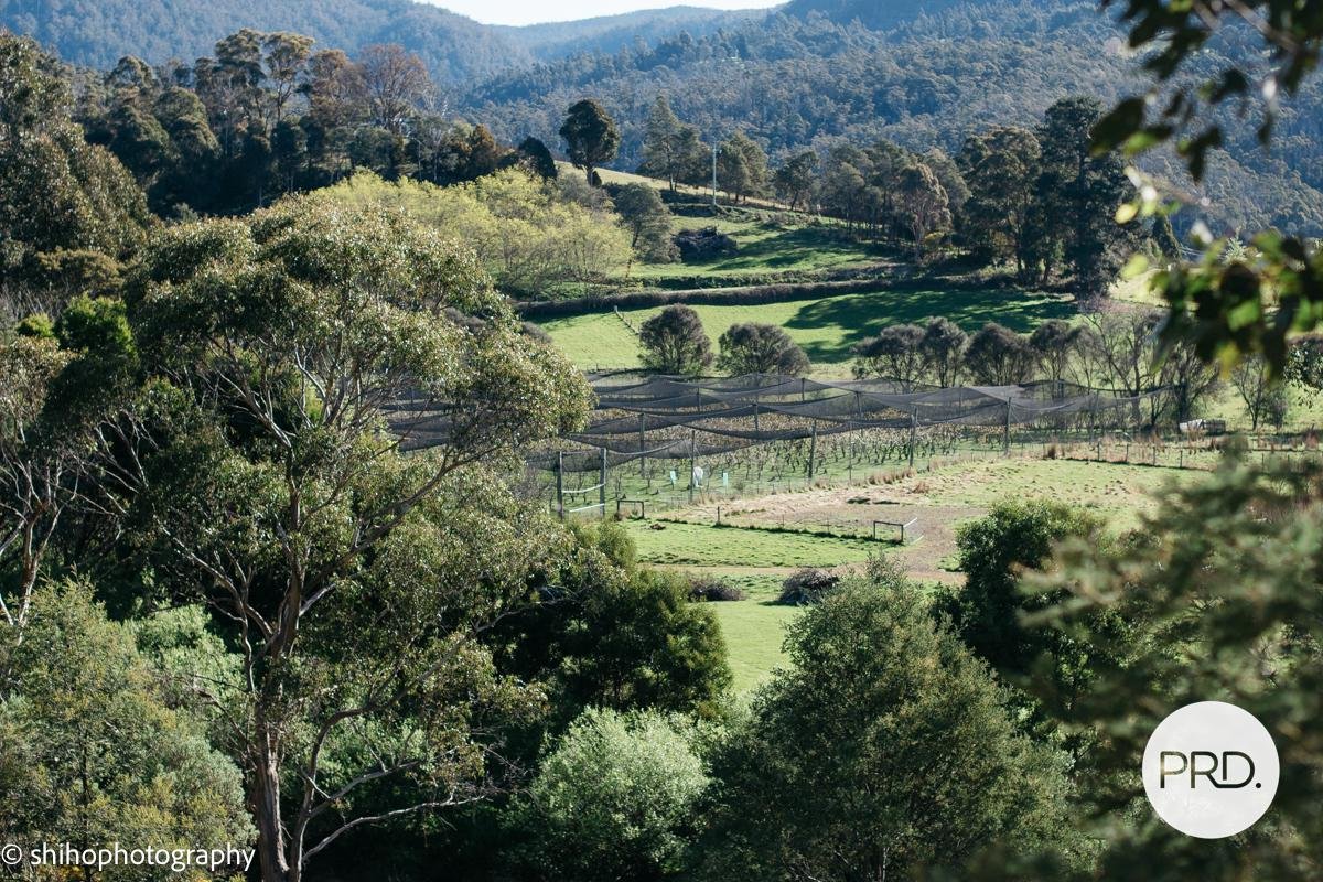 188 Hydehurst Road LACHLAN 5