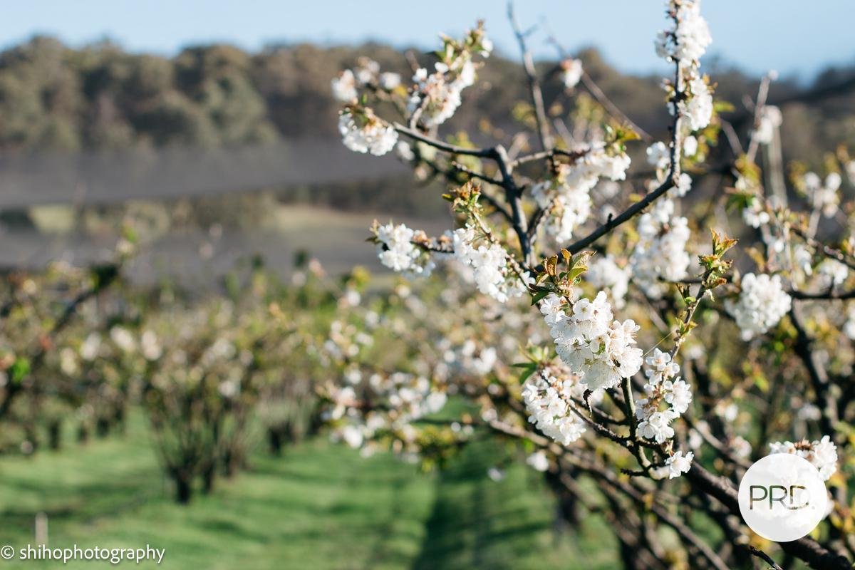 188 Hydehurst Road LACHLAN 6